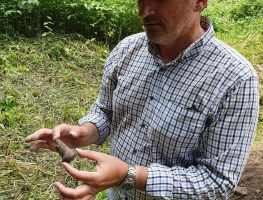  Алег Дзярновіч: У наступным годзе аднаўленне Крэўскага замка працягнецца  