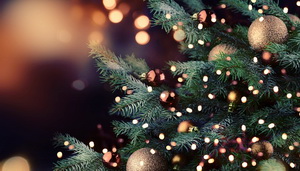 Навагоднія віншаванні беларусаў Падляшша сваім пабрацімам у Беларусі 