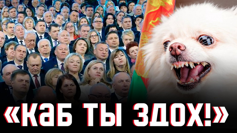 Белы шпіц і 5 кніг класікаў.  «Экстрэмістка» Лідзія Арабей