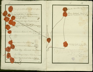 25 верасня 1793 г.зв Гарадзенскі сойм ратыфікаваў дамову, у якой Рэч Паспалітая аддавала Прусіі сваю тэрыторыю 