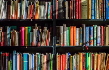 «Зачыстка» школьных бібліятэк: прыбіраюць кнігі Арлова, Алексіевіч, Някляева