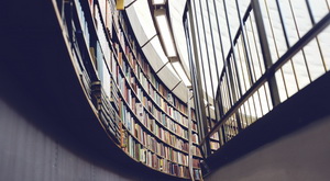 У ЕС можа з'явіцца ўніверсітэт для рэпрэсаваных Лукашэнкам і Пуціным 