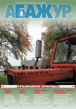 Абажур 6 (75) 2008