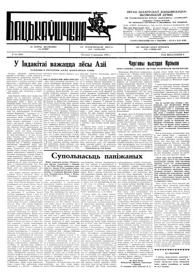 Бацькаўшчына 196