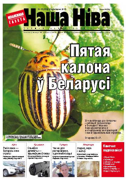 Наша Ніва 15 (852) 2014