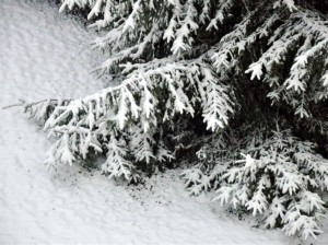 Пад знакам Пагоні 05.01.2017