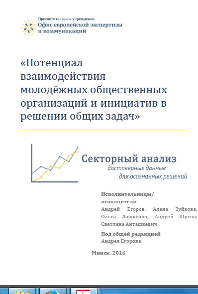 «Потенциал взаимодействия молодёжных общественных организаций и инициатив в решении общих задач»