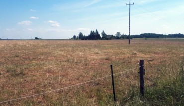 Пад знакам Пагоні 11.07.2018