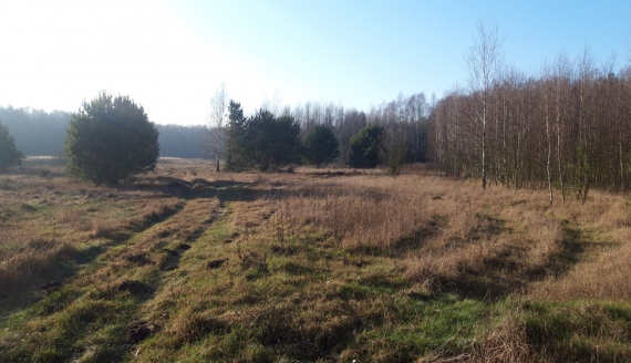 Пад знакам Пагоні 15.01.2020