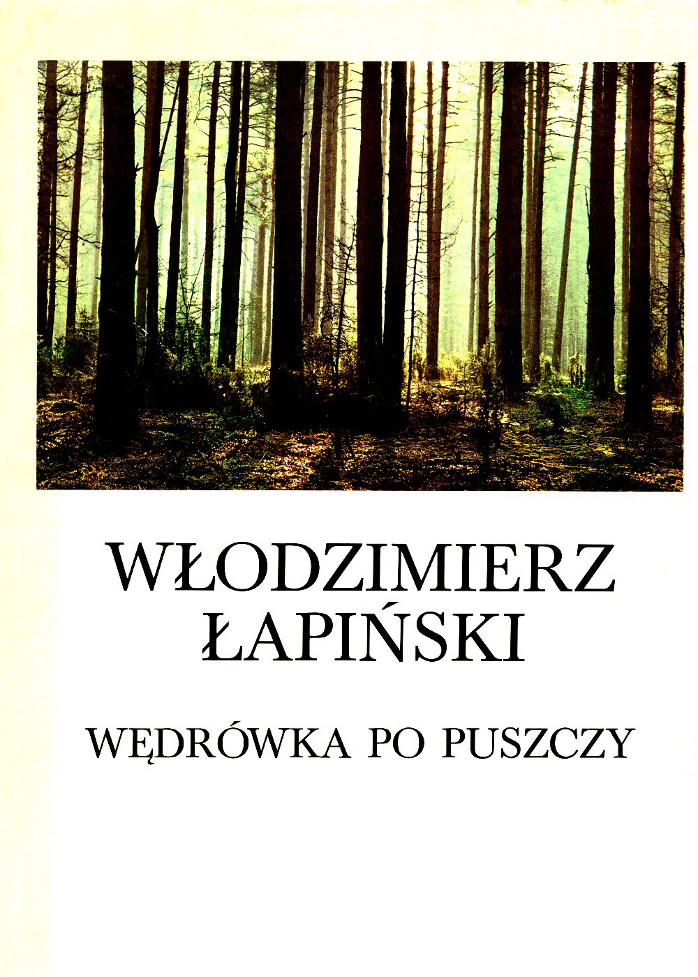 Wędrówki po puszczy