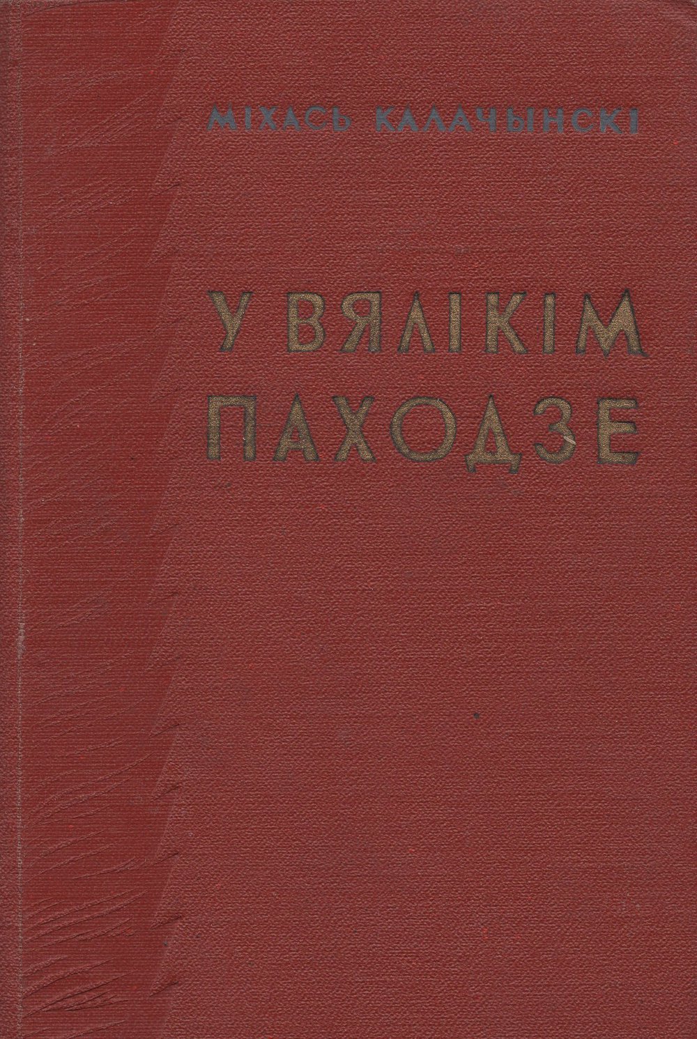 У вялікім паходзе