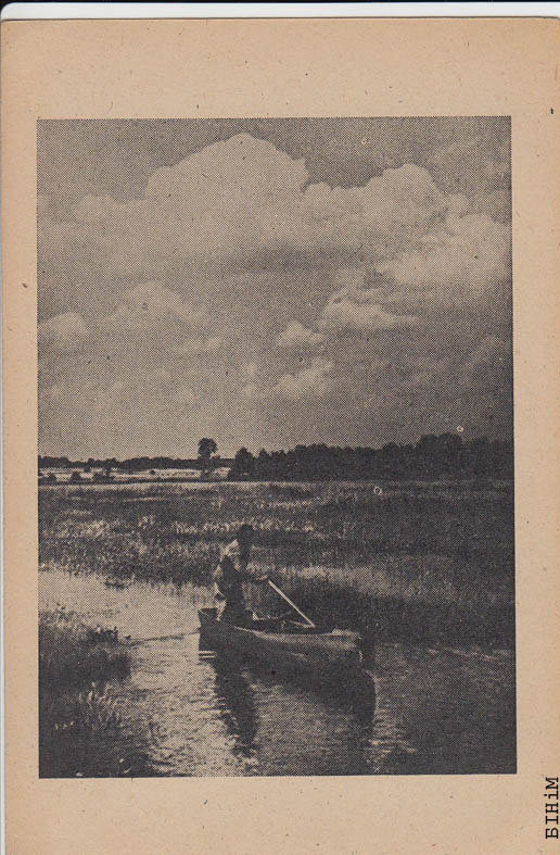 Паштоўка "На Прыпяці"