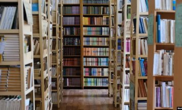 Партызанскія бібліятэкі. Як беларусы прыхоўваюць і чытаюць забароненую літаратуру