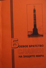 Боевое братство славян на защите мира