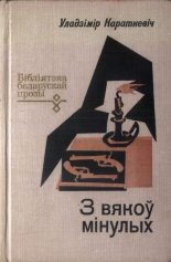 Паром на бурнай рацэ