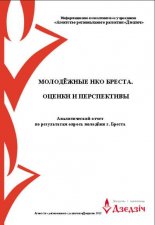 Молодёжные НКО Бреста. Оценки и перспективы
