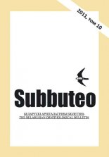 Subbuteo 10