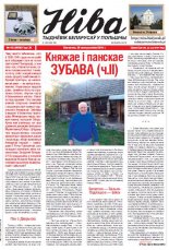 Ніва 43 (3050) 2014
