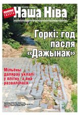 Наша Ніва 30 (819) 2013