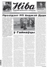 Ніва 46 (3157) 2016