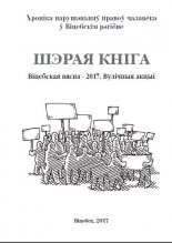 Шэрая кніга. Віцебская вясна - 2017. Вулічныя акцыі