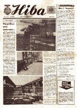 Ніва 29 (1116) 1977