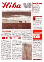 Ніва 17 (1209) 1979