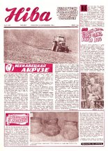 Ніва 43 (1235) 1979