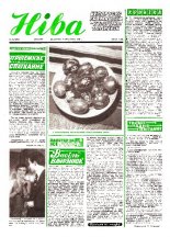 Ніва 14 (1258) 1980