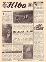 Ніва 31 (1118) 1977