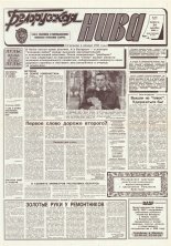 Белорусская нива 234 (15517) 1994